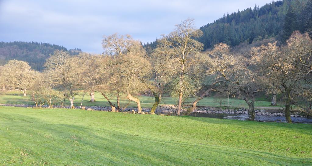 Dragon Bed&Breakfast Betws-y-Coed Exterior foto