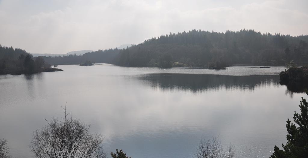 Dragon Bed&Breakfast Betws-y-Coed Exterior foto